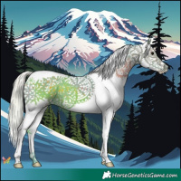 Horse Color:Watercolor Silver Black Splash