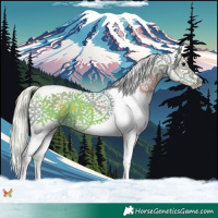 Horse Color:Watercolor Silver Black Splash