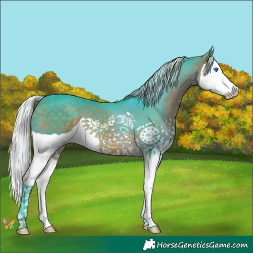Horse Color:Watercolor Silver Brown Splash 
