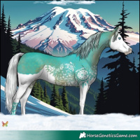 Horse Color:Watercolor Silver Brown Splash