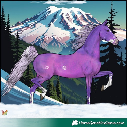 Horse Color:Watercolor Silver Brown Splash 