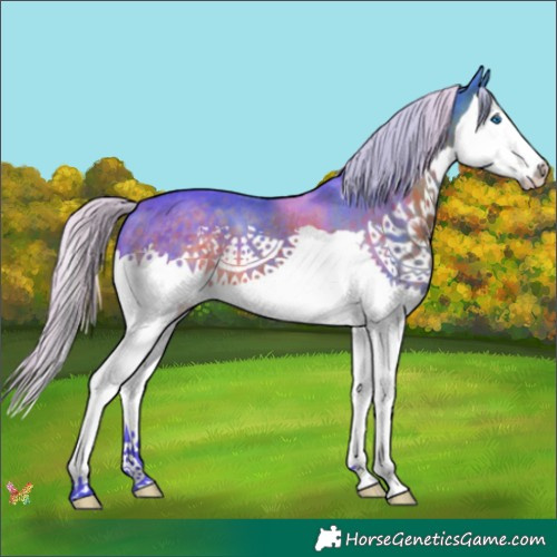 Horse Color:Watercolor Silver Brown Splash