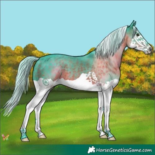 Horse Color:Watercolor Silver Brown Splash 