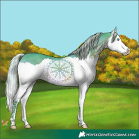 Horse Color:Watercolor Silver Brown Splash 