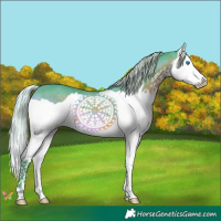 Horse Color:Watercolor Silver Brown Splash 
