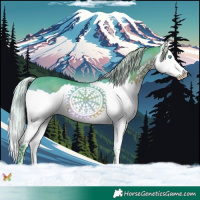 Horse Color:Watercolor Silver Brown Splash 