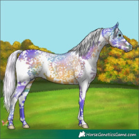 Horse Color:Watercolor Silver Brown Splash 