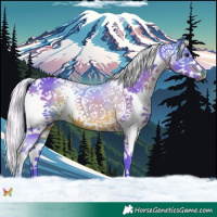 Horse Color:Watercolor Silver Brown Splash