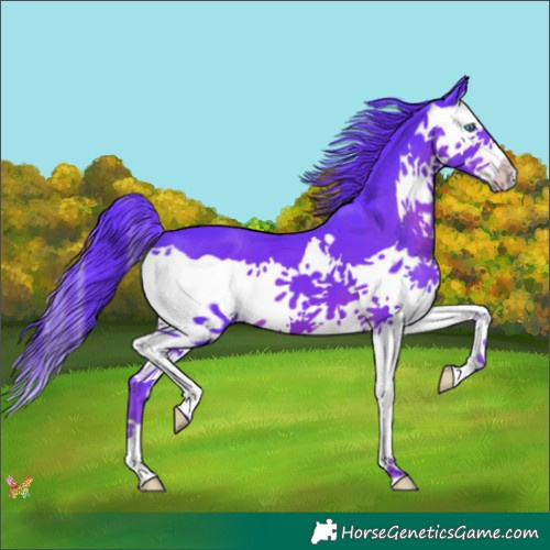 Horse Color:Watercolor Liver Chestnut Splash 