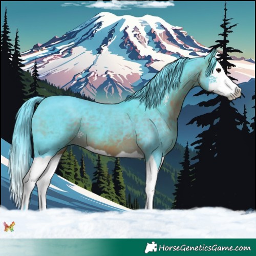 Horse Color:Watercolor Brown Splash 