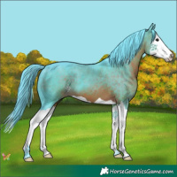 Horse Color:Watercolor Brown Splash 