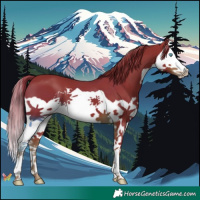 Horse Color:Watercolor Liver Chestnut Splash 