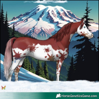 Horse Color:Watercolor Liver Chestnut Splash 