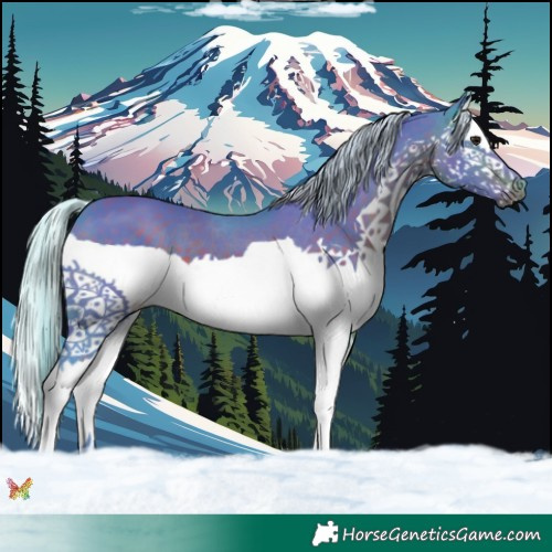Horse Color:Watercolor Silver Brown Splash 