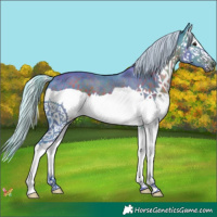 Horse Color:Watercolor Silver Brown Splash 