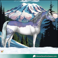 Horse Color:Watercolor Silver Brown Splash