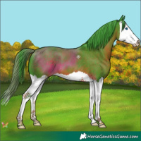 Horse Color:Watercolor Liver Chestnut Splash 