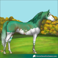 Horse Color:Watercolor Liver Chestnut Splash 