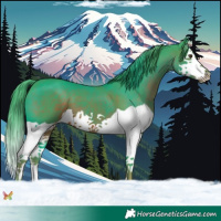 Horse Color:Watercolor Liver Chestnut Splash
