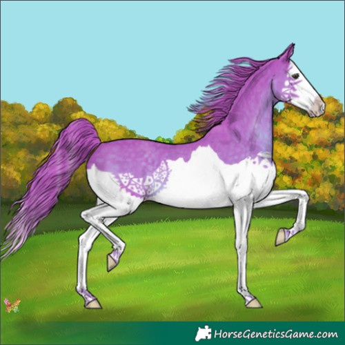 Horse Color:Watercolor Liver Chestnut Splash 