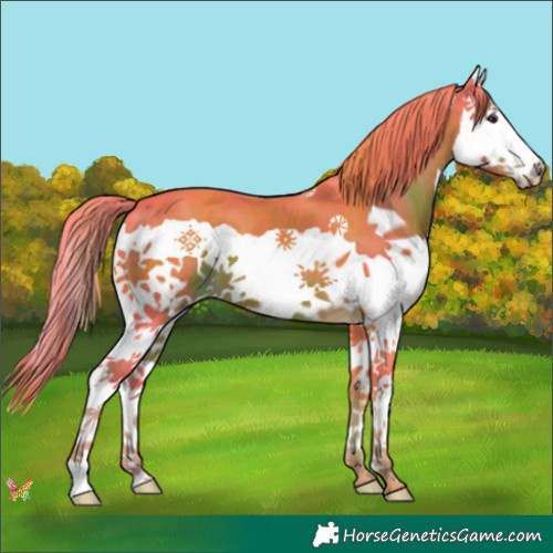 Horse Color:Watercolor Liver Chestnut Splash 