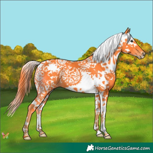 Horse Color:Watercolor Liver Chestnut Splash 