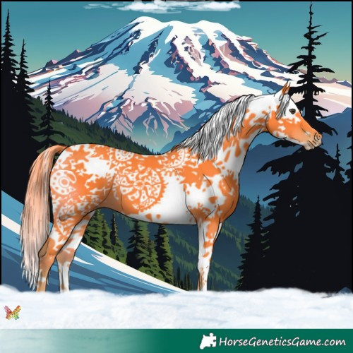 Horse Color:Watercolor Liver Chestnut Splash 