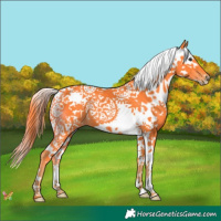 Horse Color:Watercolor Liver Chestnut Splash 