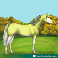 Horse Color:Watercolor Liver Chestnut Splash 