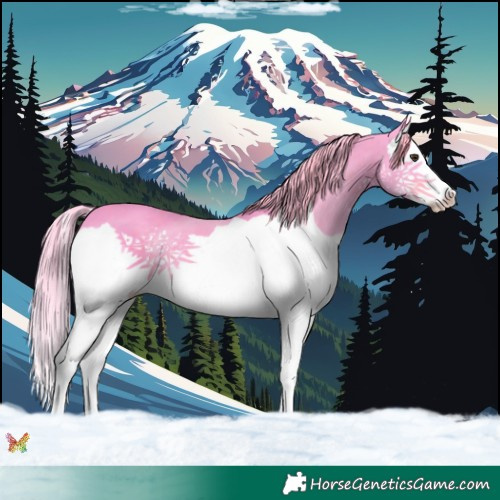 Horse Color:Watercolor Liver Chestnut Splash 