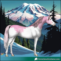 Horse Color:Watercolor Liver Chestnut Splash 