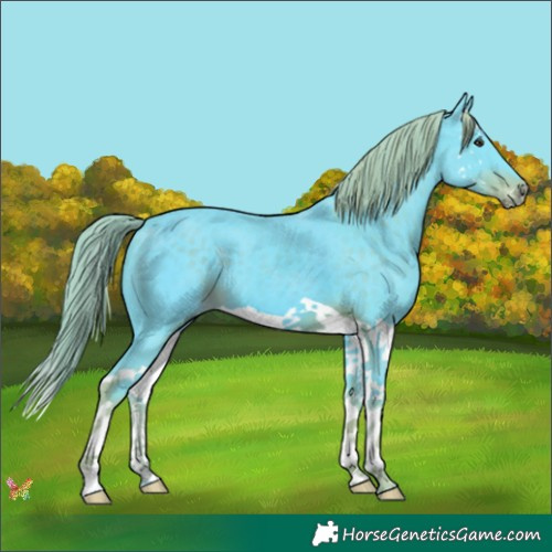 Horse Color:Watercolor Liver Chestnut Splash 