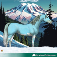 Horse Color:Watercolor Liver Chestnut Splash