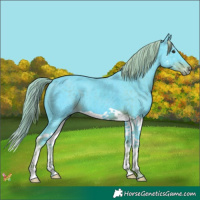 Horse Color:Watercolor Liver Chestnut Splash