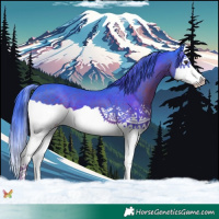 Horse Color:Watercolor Liver Chestnut Splash 