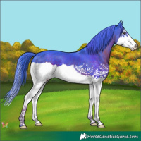 Horse Color:Watercolor Liver Chestnut Splash 
