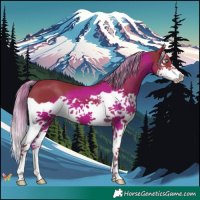Horse Color:Watercolor Liver Chestnut Splash 