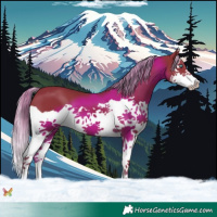 Horse Color:Watercolor Liver Chestnut Splash