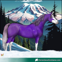 Horse Color:Watercolor Liver Chestnut Splash