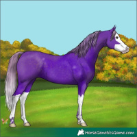Horse Color:Watercolor Liver Chestnut Splash 