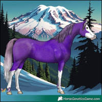Horse Color:Watercolor Liver Chestnut Splash 