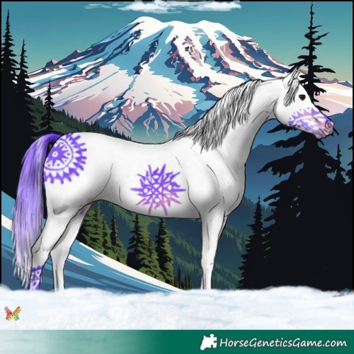 Horse Color:Watercolor White Spotted Brown Splash