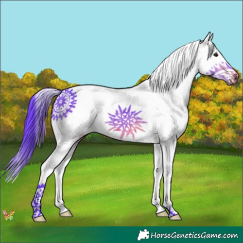 Horse Color:Watercolor White Spotted Brown Splash 