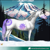 Horse Color:Watercolor White Spotted Brown Splash 