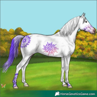 Horse Color:Watercolor White Spotted Brown Splash 