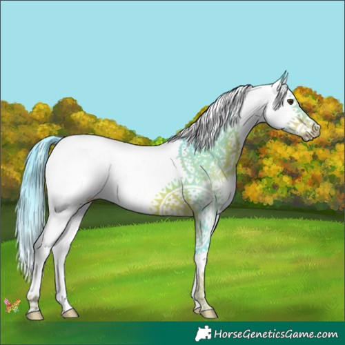 Horse Color:Watercolor Liver Chestnut Splash 