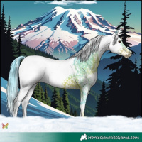 Horse Color:Watercolor Liver Chestnut Splash 