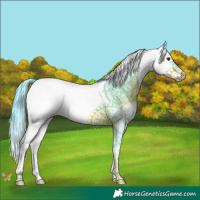 Horse Color:Watercolor Liver Chestnut Splash 