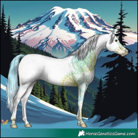 Horse Color:Watercolor Liver Chestnut Splash