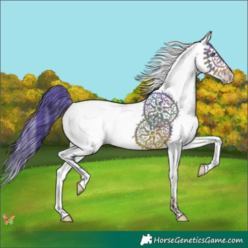 Horse Color:Watercolor White Spotted Liver Chestnut Splash 